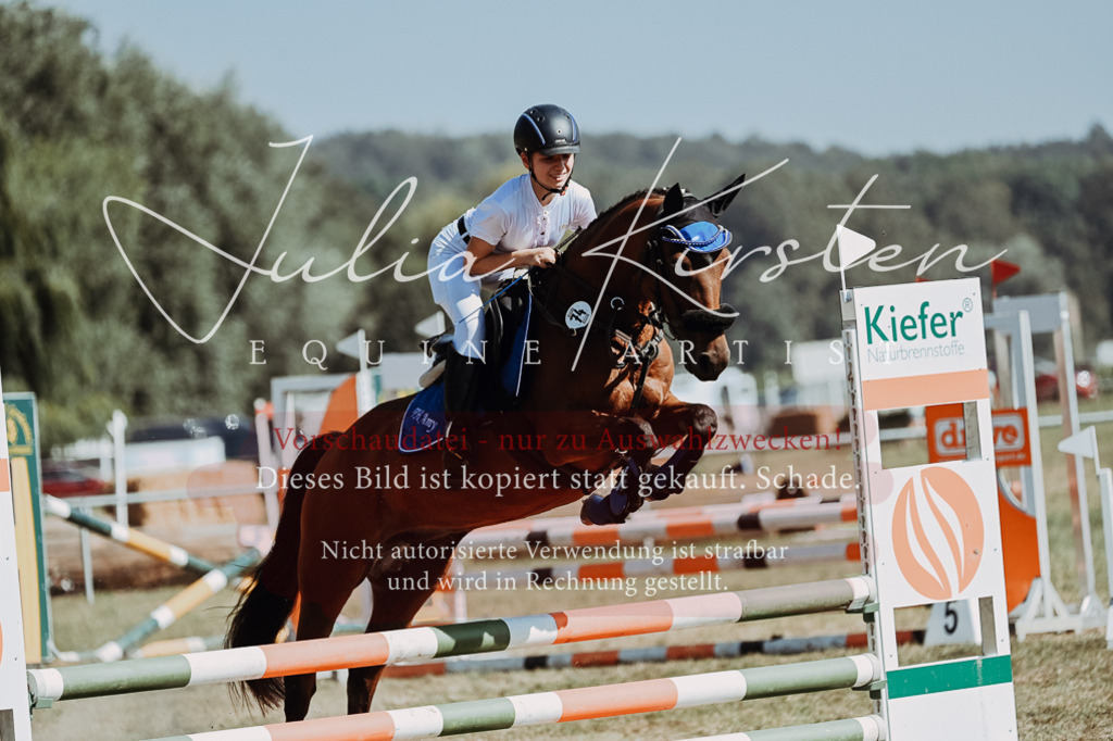 DSC_9618 | Pferde- und Turnierfotografie in Westsachsen. Pferdeportraits, Auftragszeichnungen und intuitive Kunst.