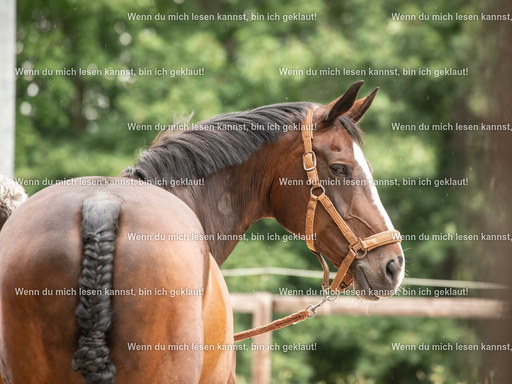 598A6002 | photographylinaismer - Realisiert mit Pictrs.com