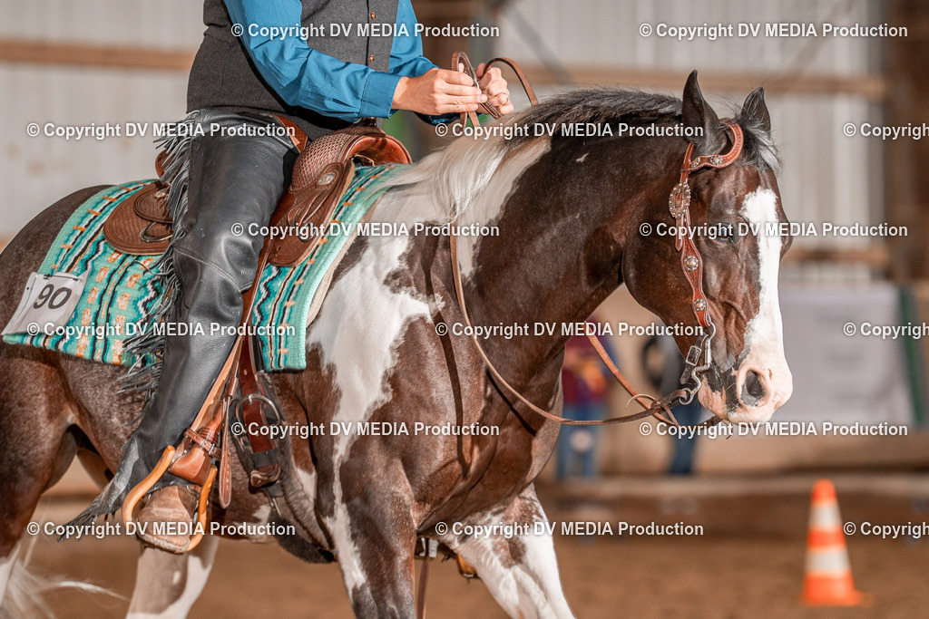 Balingen Tag 3-140 | dv-media-shop - Realisiert mit Pictrs.com