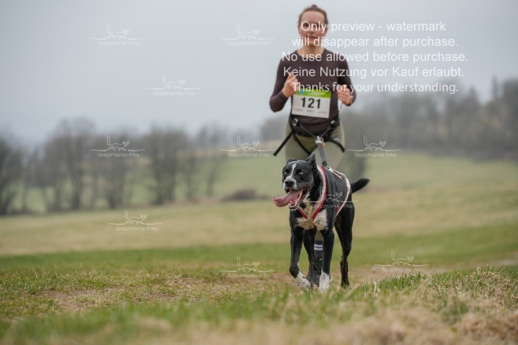 Canixlong-161 | stephaniefillaphotographie - Realisiert mit Pictrs.com