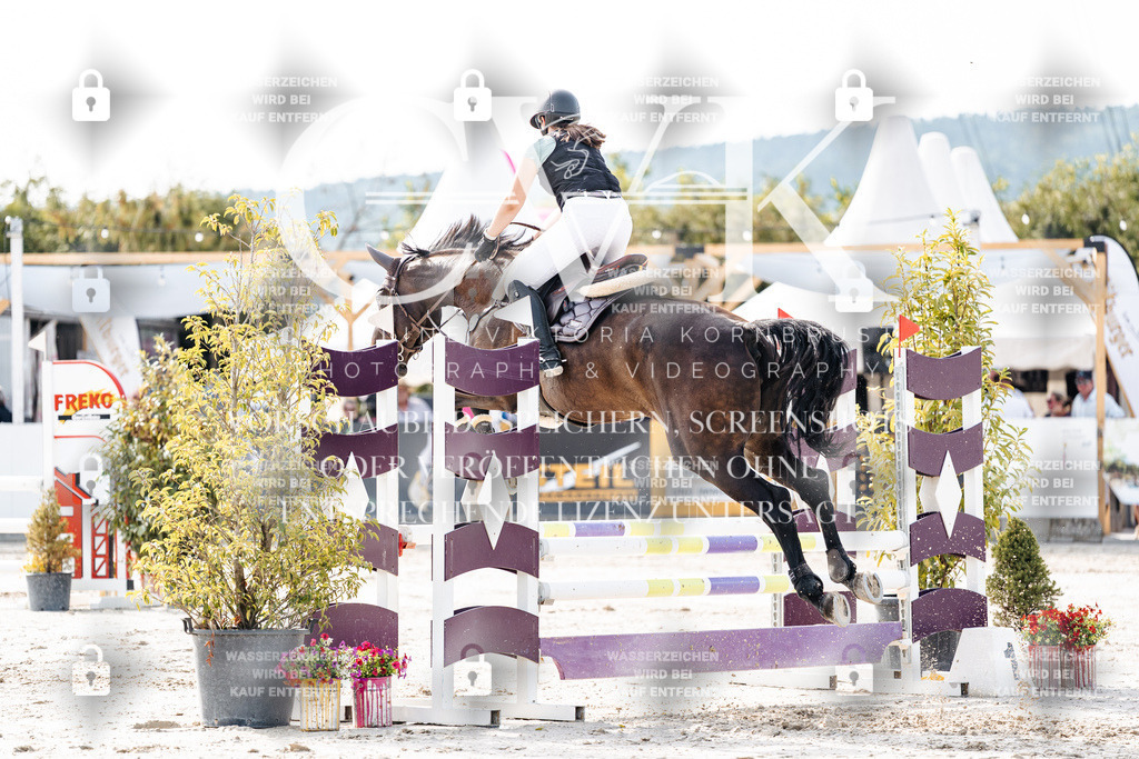 CK905675 | Turnierfotografie Pferdefotografie Trier Rheinland-Pfalz Pferdesport Reitsport Tierfotografie Sportfotografie Pferdevideo Pferdevideografie Equestrianvideography equestrianphotography  - Realisiert mit Pictrs.com