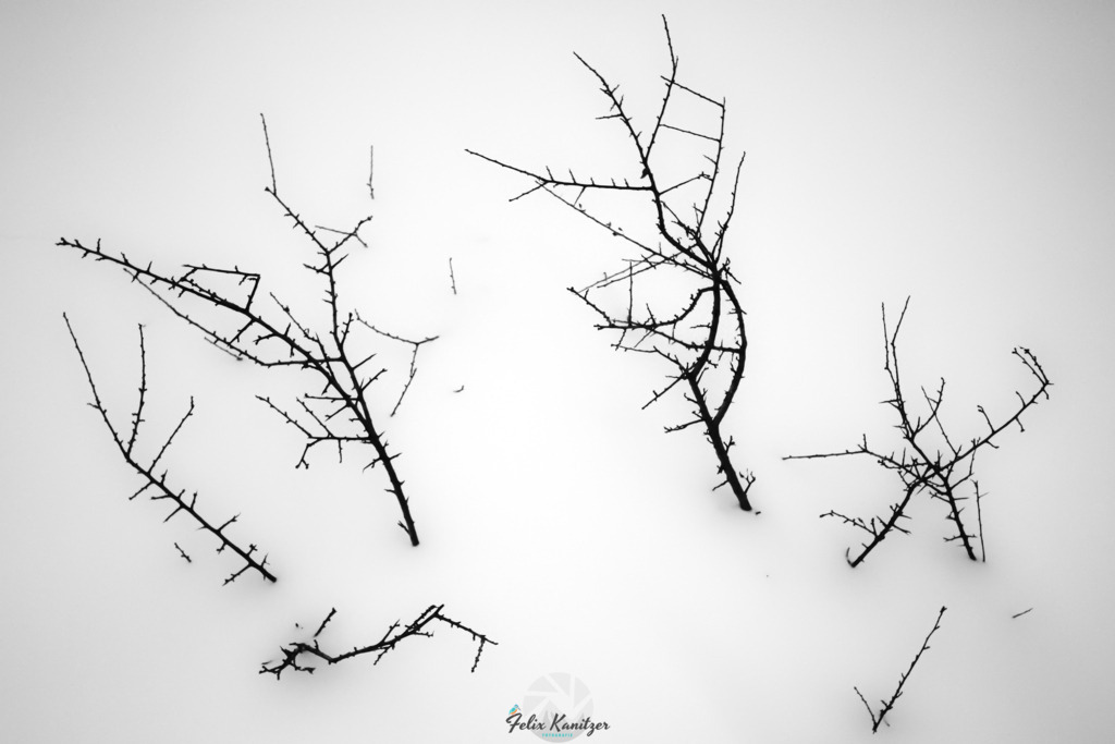001_minimalism | Fotografie Felix Kanitzer  - Realisiert mit Pictrs.com