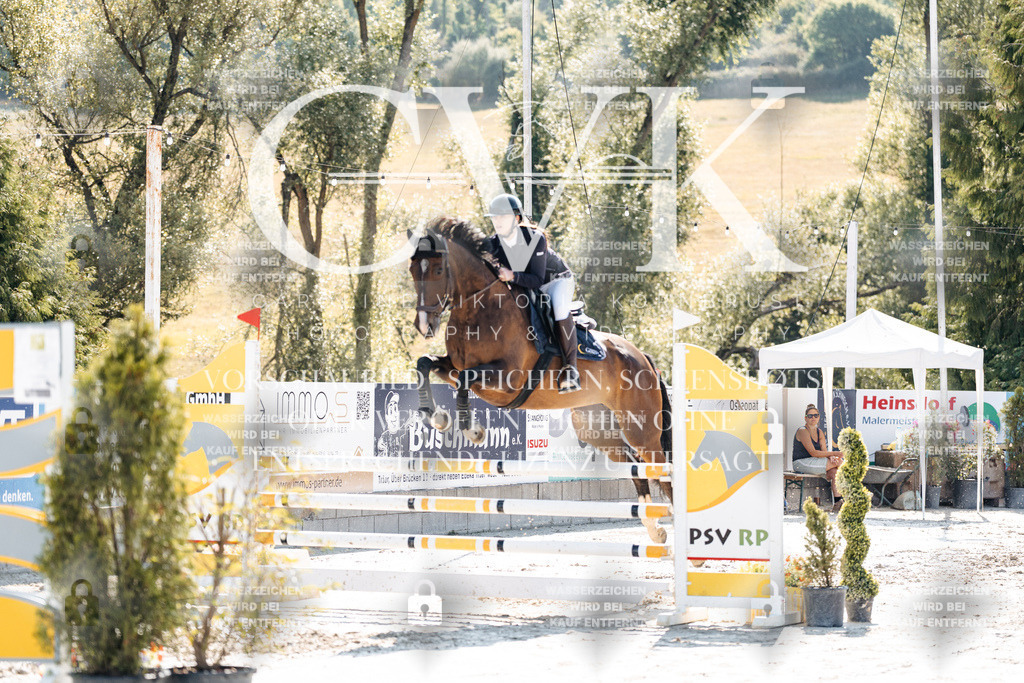 CK907815 | Turnierfotografie Pferdefotografie Trier Rheinland-Pfalz Pferdesport Reitsport Tierfotografie Sportfotografie Pferdevideo Pferdevideografie Equestrianvideography equestrianphotography  - Realisiert mit Pictrs.com