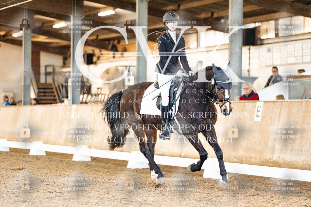 CK906971 | Turnierfotografie Pferdefotografie Trier Rheinland-Pfalz Pferdesport Reitsport Tierfotografie Sportfotografie Pferdevideo Pferdevideografie Equestrianvideography equestrianphotography  - Realisiert mit Pictrs.com