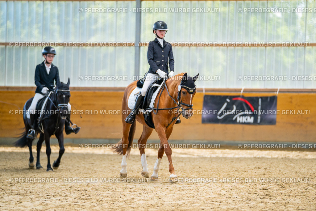 DSC01313 | Pferdegrafie