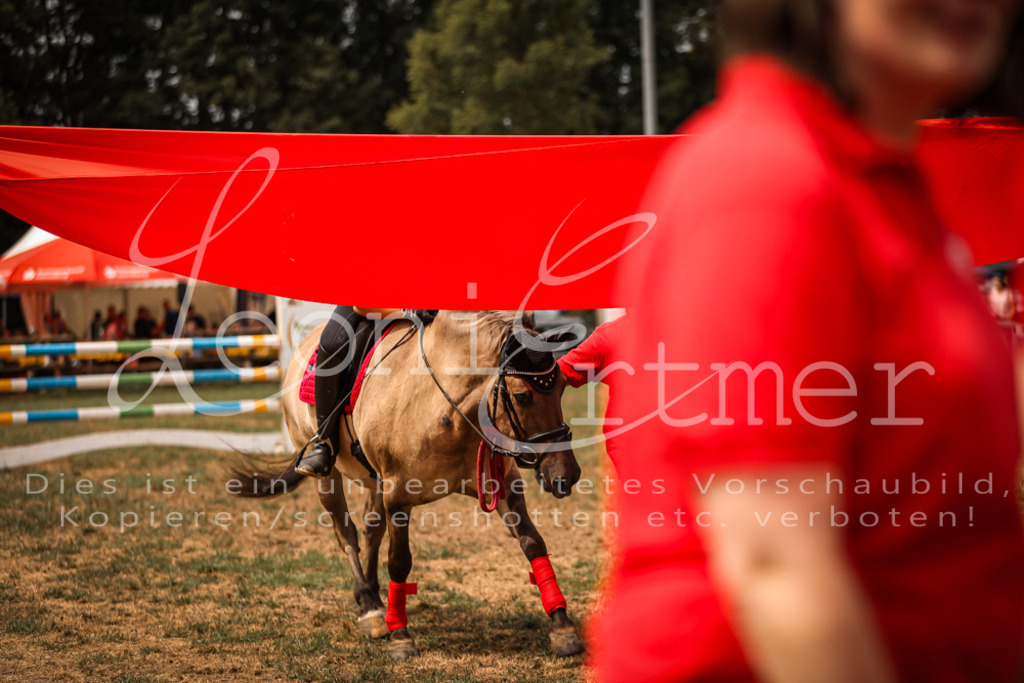 SoShow00113 | Leoni Ertmer Photography - Realisiert mit Pictrs.com