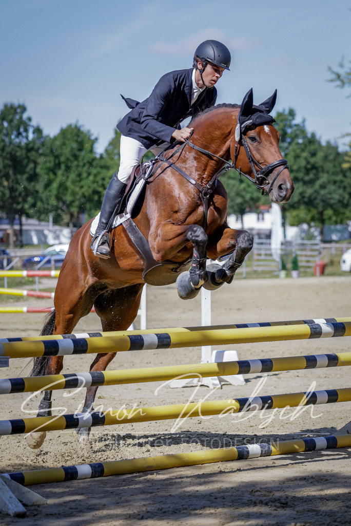 20250906-_3LI4167 | Tierfotografie Pferde, Hunde, Katzen, Haustiere.
Turnierfotografie Reitturniere, Reiten, Springreiten, Dressur in Hanau, dem Main-Kinzig-Kreis und dem Rhein-Main- Gebiet um Frankfurt