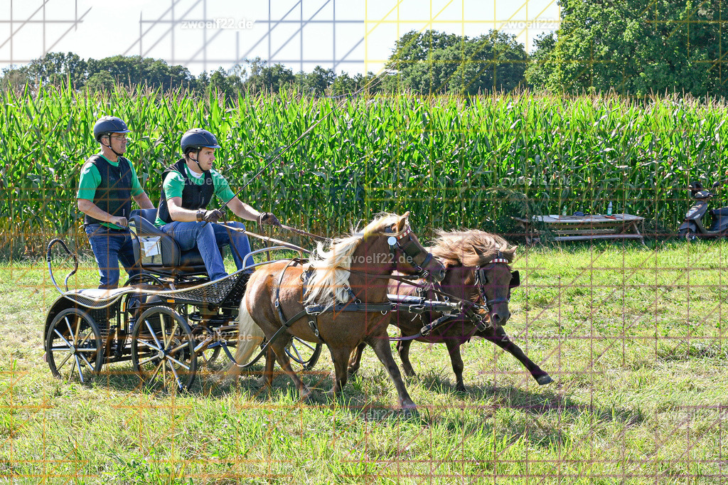 30 Jahre RFV Pulsnitz e.V., Pulsnitz am 09.08.2026 | 30Jahre Reit- und Fahrverein Pulsnitz e.V., Pulsnitz am 08.08.2026Zur 28. breitensportlichen Veranstaltung des RFV Pulsnitz e.V. fanden verschiedene Wettbewerbe in nahezu allen Disziplinen des Pferdesport statt.- Geländefahr-Wettbewerb - Realisiert mit Pictrs.com