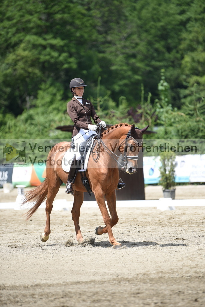 DSC_9215 | equestrian-live-com