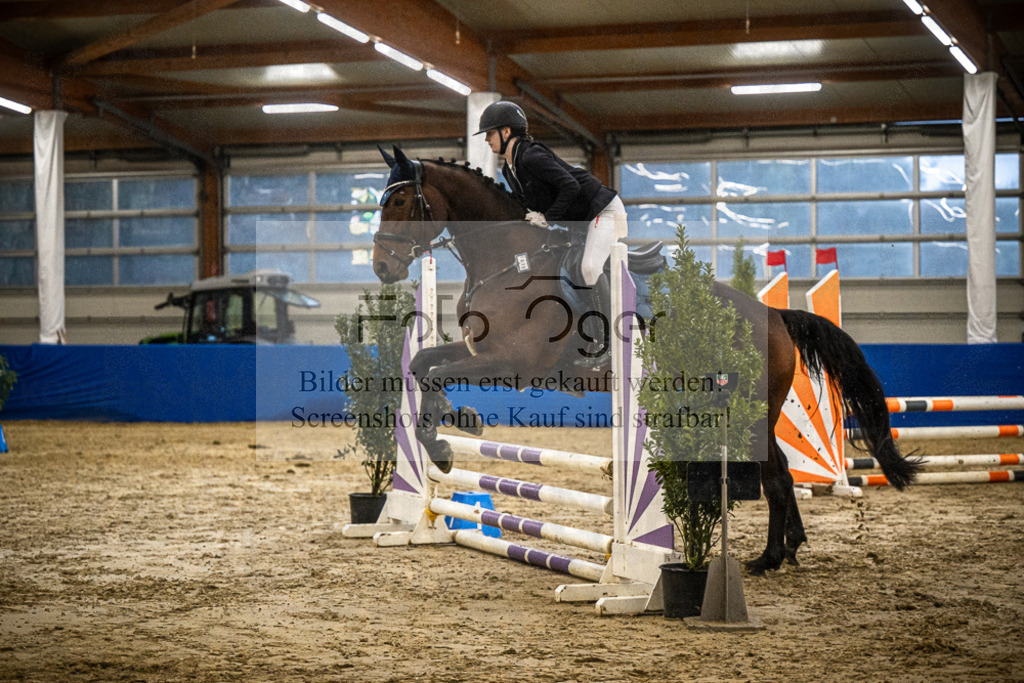 DOS_0817 | Entdecke hochwertige Reitturnierfotos von Foto Oger. Professionell, emotional und authentisch – jetzt Lieblingsmomente im Shop bestellen.Deutschlandweite Turnierfotografie. - Realisiert mit Pictrs.com