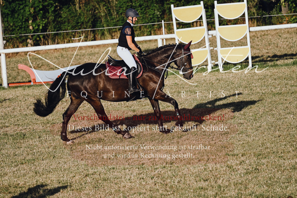 DSC_3297 | Pferde- und Turnierfotografie in Westsachsen. Pferdeportraits, Auftragszeichnungen und intuitive Kunst.