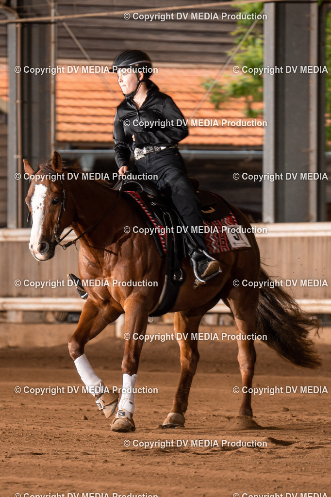 Erbach Tag 3-833 | dv-media-shop - Realisiert mit Pictrs.com