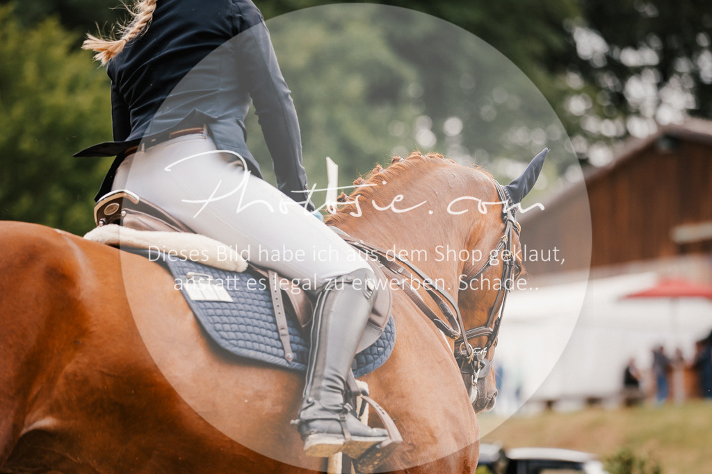 3I6A2457 | Stimmungsvolle Portraits und Reitsportfotografie im Ruhrgebiet und im Münsterland.

Pferdefotografie, Hundefotografie, Tierfotografie, Reportagen, Portraits von Tier und Mensch, Turnierfotografie in Bochum, Recklinghausen, Marl, Haltern am See, Dülmen.. - Realisiert mit Pictrs.com