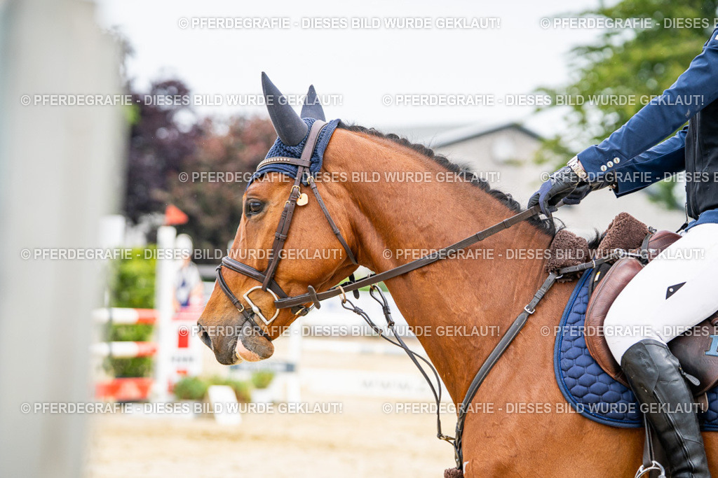 DSC09811 | Pferdegrafie