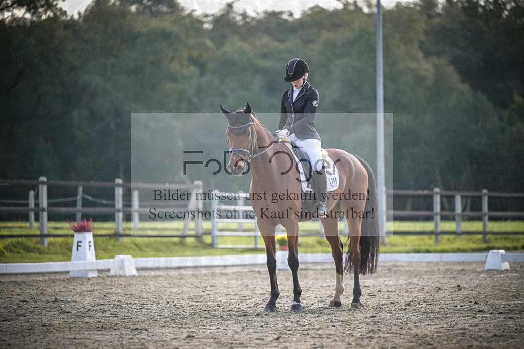 DOS_4954 | Entdecke hochwertige Reitturnierfotos von Foto Oger. Professionell, emotional und authentisch – jetzt Lieblingsmomente im Shop bestellen.Deutschlandweite Turnierfotografie. - Realisiert mit Pictrs.com