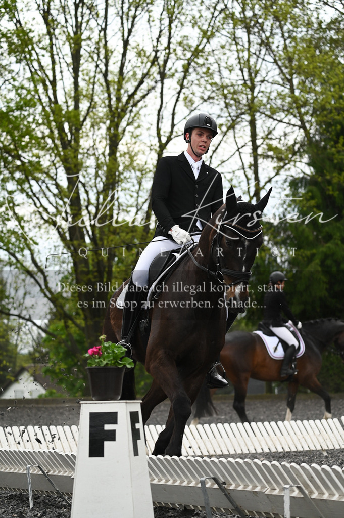 20230512_JK-Röhrsdorf-08-079 | Pferde- und Turnierfotografie in Westsachsen. Pferdeportraits, Auftragszeichnungen und intuitive Kunst.