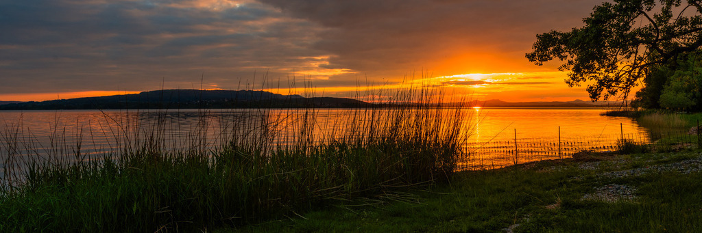 reichenau_05_2024-394 | <div id="allefotografen-seal-verified-green"></div><script src="https://www.allefotografen.de/956728/seal-verified-green/seal.js" async="async"></script> - Realisiert mit Pictrs.com