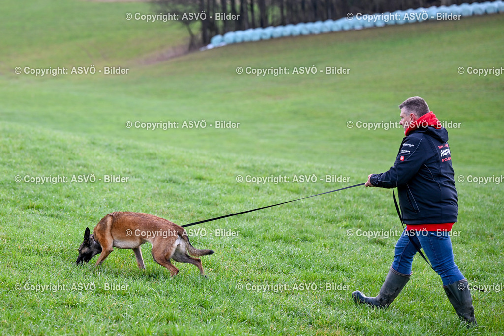ASVÖ_ Tracking Dog World Championship 2025_ 31.03.2025-65 | 31.03.2025, AUT, ASVÖ, Tracking Dog World Championship // FCI IGP Fährtenhundeweltmeisterschaft 2025©fodo.media / Harald Dostal - Realisiert mit Pictrs.com