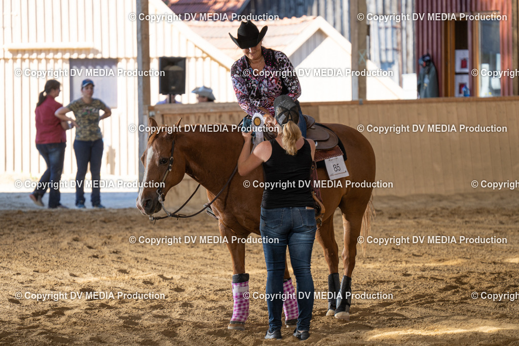 DSC00582 | dv-media-shop - Realisiert mit Pictrs.com