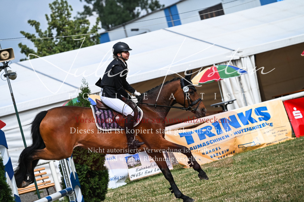 DSC_8413 | Pferde- und Turnierfotografie in Westsachsen. Pferdeportraits, Auftragszeichnungen und intuitive Kunst.