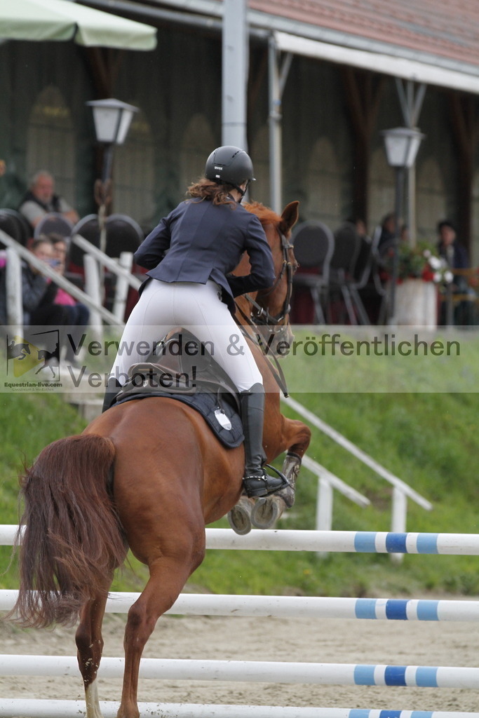 _MG_2985 | equestrian-live-com