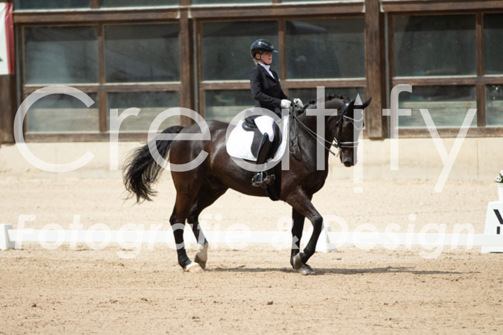 IMG_5875 | Creatify Fotografie