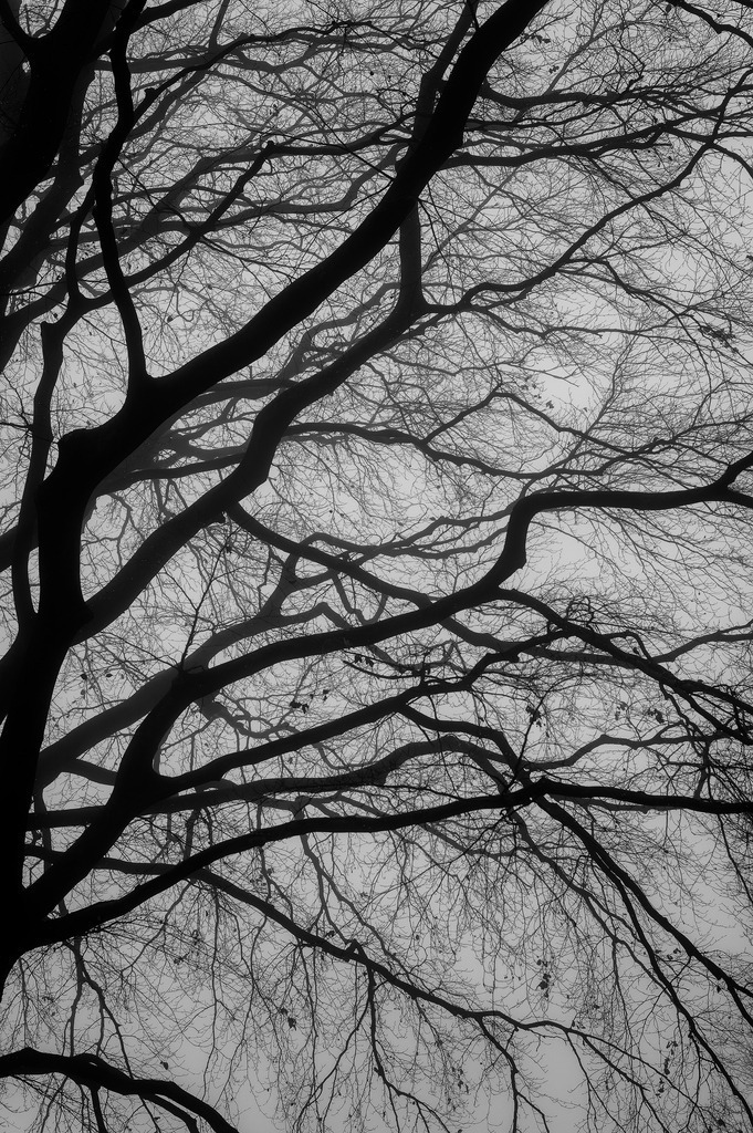 2025_02_01_HH-OEVELGOENNE NEBEL_MCP5285 sw | Hochwertig gedruckte Fotografien für die Wand, als Kalender und zum Verschenken. Hamburg & Norddeutschland und überall wo ich mit der Kamera unterwegs war.