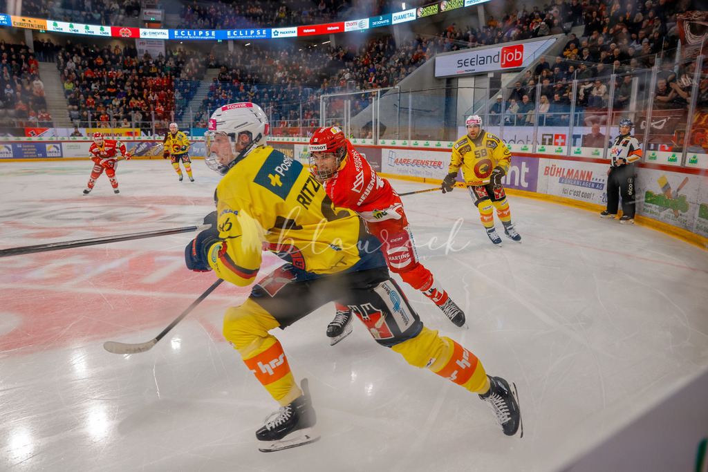EHCB vs SCB 20260110_wb-3149 | Sportbilder, Sportfotograf, Hochzeits- und Eventfotografin, Flugshows, Portraits und Tiershooting, Aviation, Downhill, Nationalleague, Swissleague, International