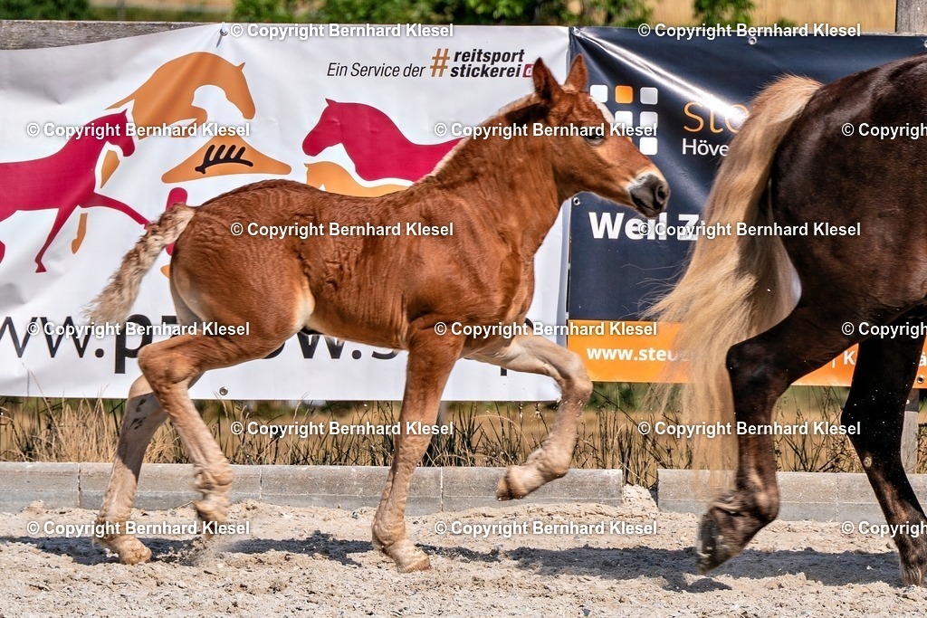 2A906785 | foto-team-bernhard - Realisiert mit Pictrs.com