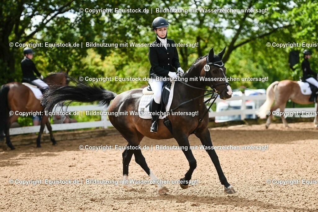 20230716_10-1_Reiter-WB Schritt - Trab - Galopp_0126 | equistock