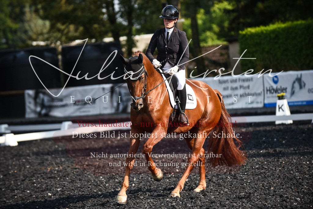 DSC_3267 | Pferde- und Turnierfotografie in Westsachsen. Pferdeportraits, Auftragszeichnungen und intuitive Kunst.