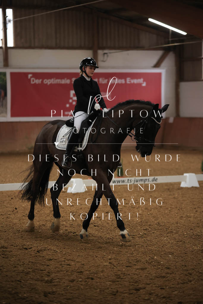 IMGT9005 | pl-fotografie