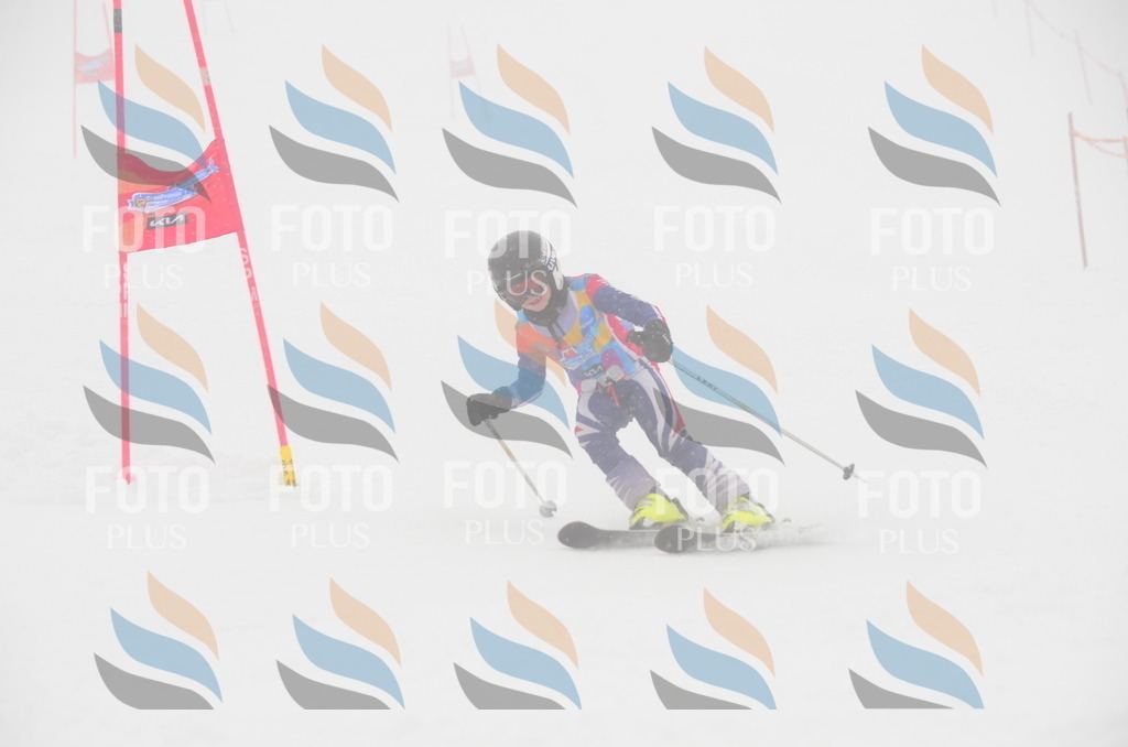 C0872 | holidayphoto