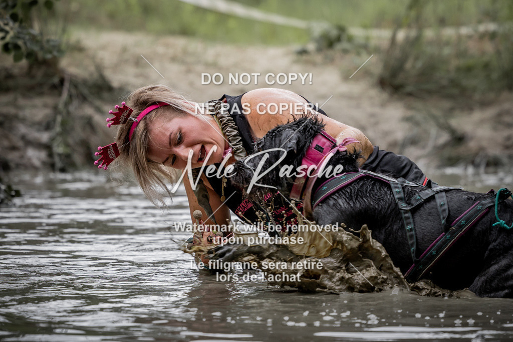 nelerasche_so0800-0930_405 | nelerasche