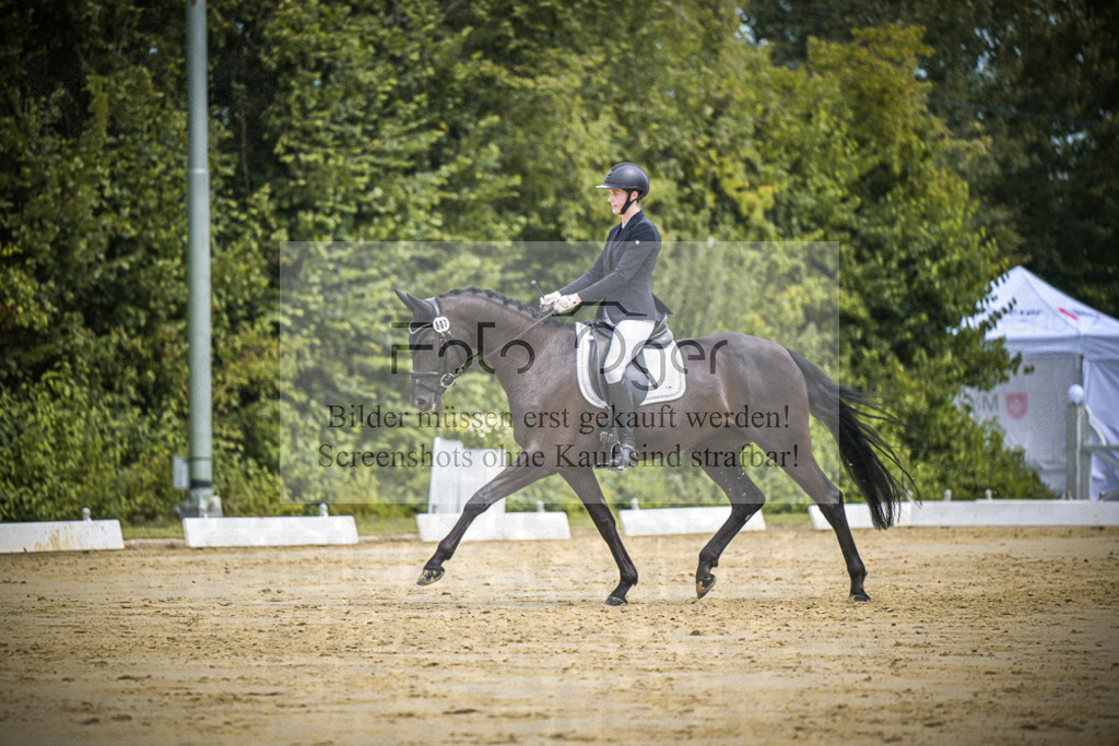 DOS_1318 | Entdecke hochwertige Reitturnierfotos von Foto Oger. Professionell, emotional und authentisch – jetzt Lieblingsmomente im Shop bestellen.Deutschlandweite Turnierfotografie. - Realisiert mit Pictrs.com