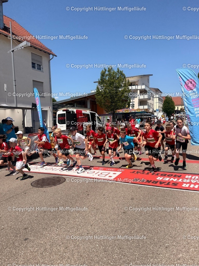 IMG_1694 | Hüttlinger Muffigelläufe - Realisiert mit Pictrs.com