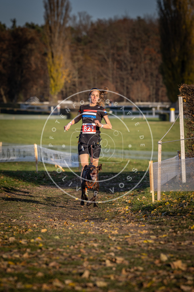 CaniXpix_DV3A3261 | Hundefotografie, Tierfotograf, Pfotenfotografie, Fotoshooting Hund, Hunde Portrait, Hundesport, Hundeportraits, Heideshooting, Hunde, Sportfotograf, Hundefotograf, Turnierhundsport, THS,  - Realisiert mit Pictrs.com