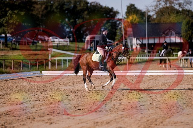 2026_10_03_Siefer-Hof_115618_Z81_96741816 | Professionelle Reitsport-, Turnier- und Eventfotografie von Robert Broda. Galerien mit ausgewählten und bearbeiteten Bildern direkt online ansehen und bestellen.