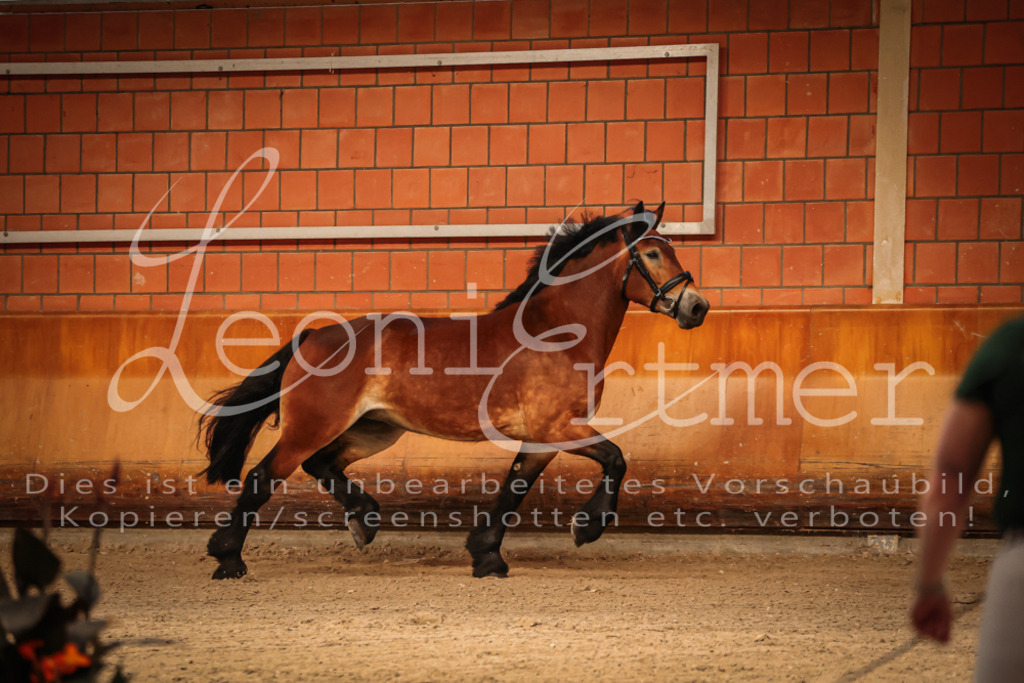 SaFL00044 | Leoni Ertmer Photography - Realisiert mit Pictrs.com