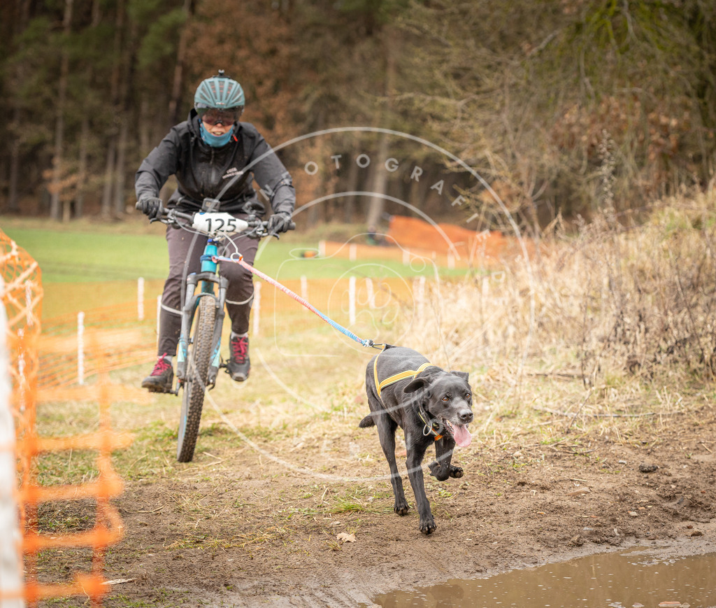 DV3A1167 | Hundefotografie, Tierfotograf, Pfotenfotografie, Fotoshooting Hund, Hunde Portrait, Hundesport, Hundeportraits, Heideshooting, Hunde, Sportfotograf, Hundefotograf, Turnierhundsport, THS,  - Realisiert mit Pictrs.com