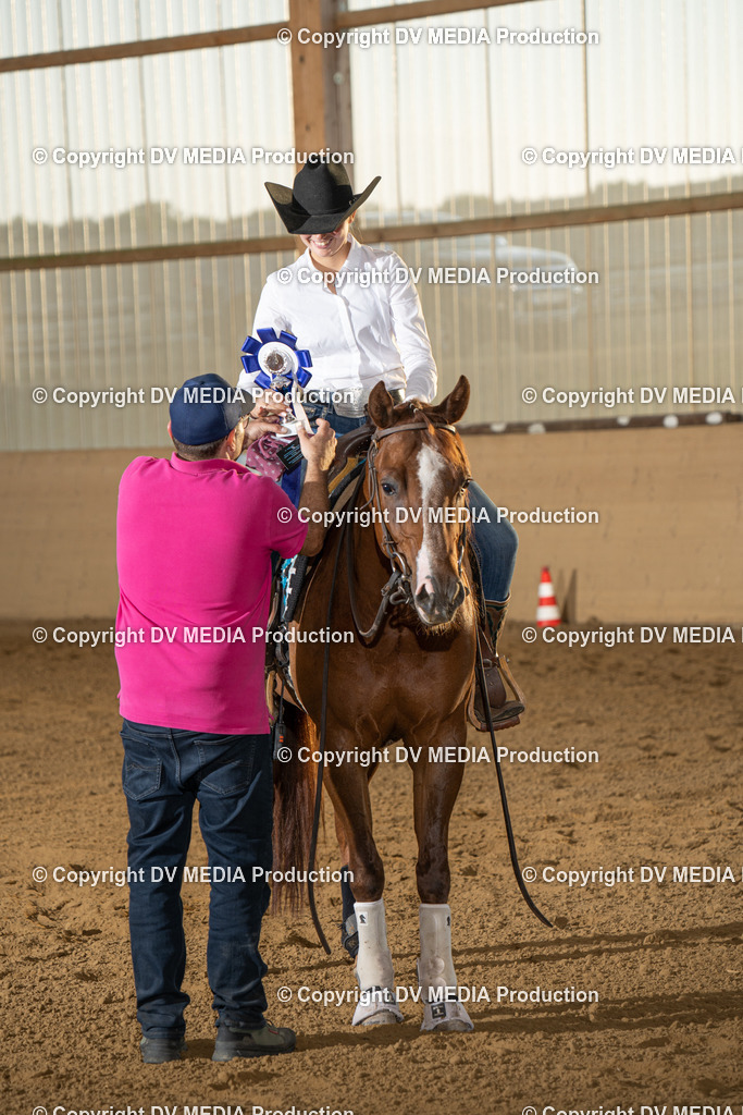 LAU02044 | dv-media-shop - Realisiert mit Pictrs.com