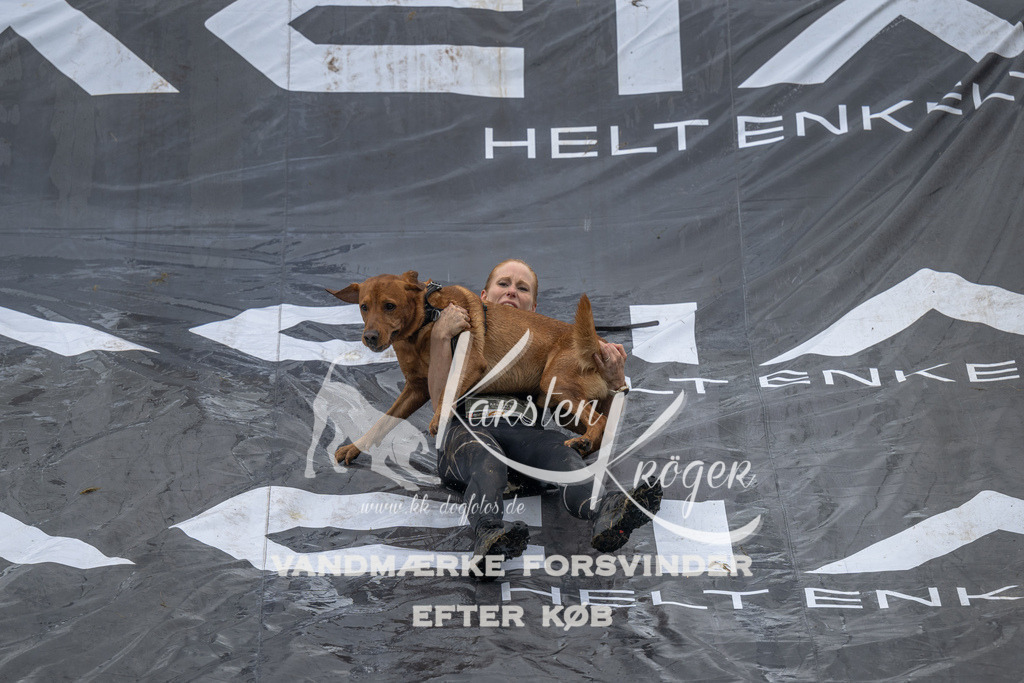 1441_ZZ91187 | kk-dogfotos