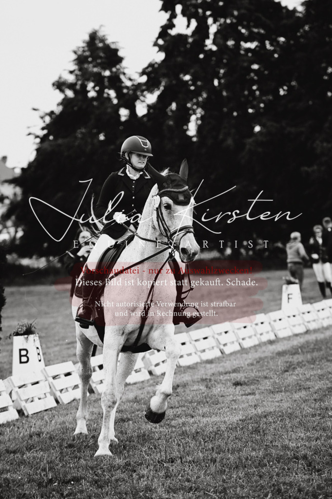 DSC_4987 | Pferde- und Turnierfotografie in Westsachsen. Pferdeportraits, Auftragszeichnungen und intuitive Kunst.