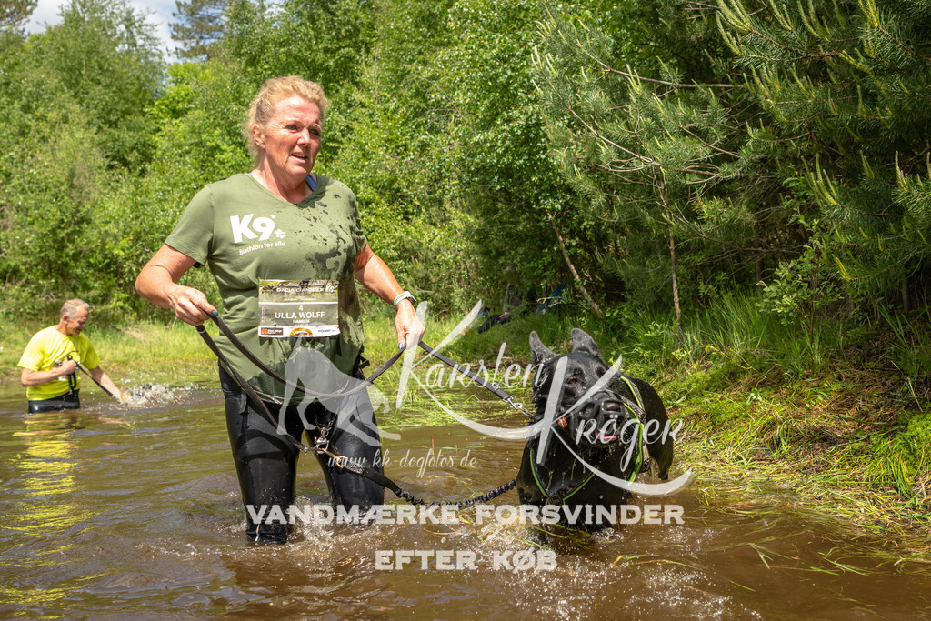 1235DKK993102 | kk-dogfotos