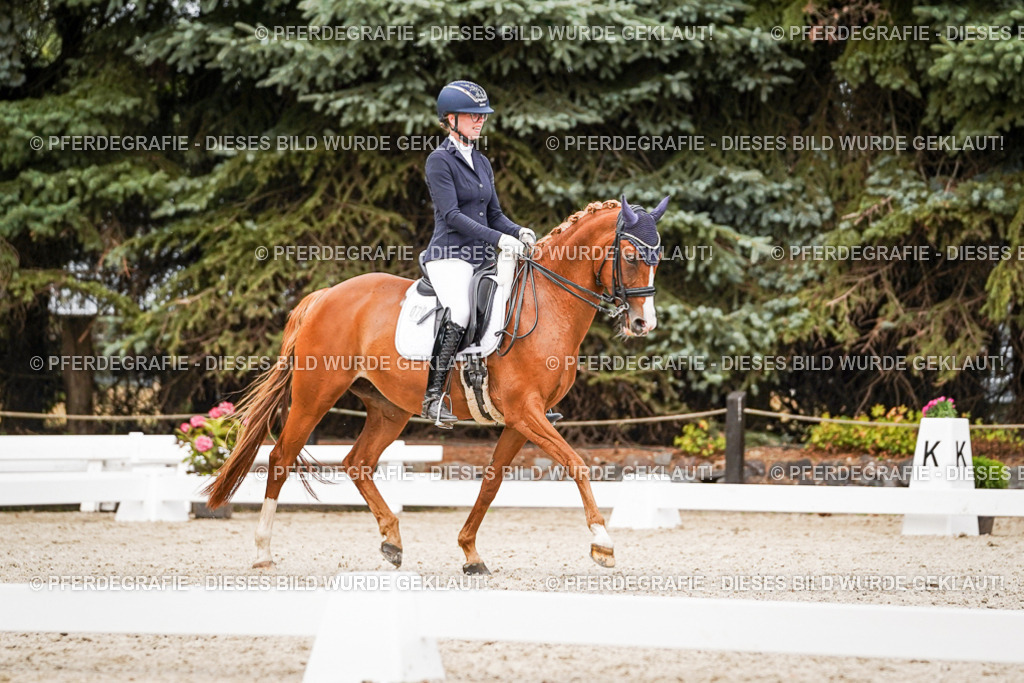 DSC07103 | Pferdegrafie