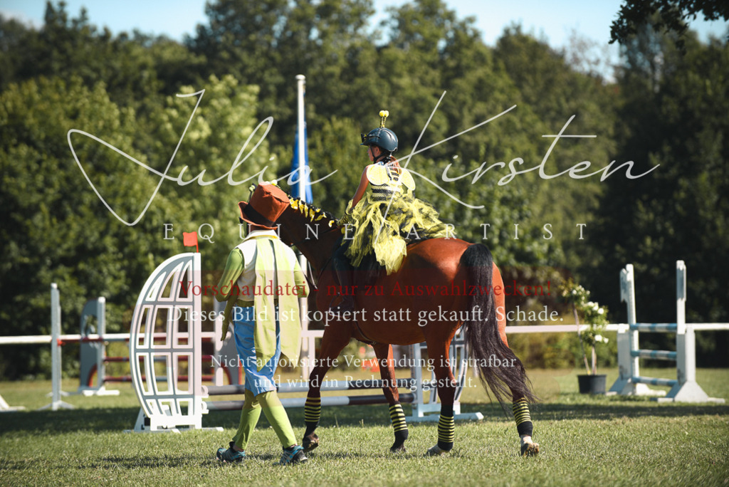 DSC_7509 | Pferde- und Turnierfotografie in Westsachsen. Pferdeportraits, Auftragszeichnungen und intuitive Kunst.