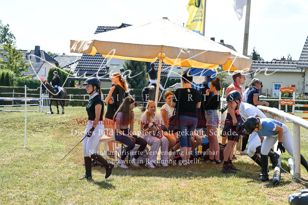 DSC_7091 | Pferde- und Turnierfotografie in Westsachsen. Pferdeportraits, Auftragszeichnungen und intuitive Kunst.