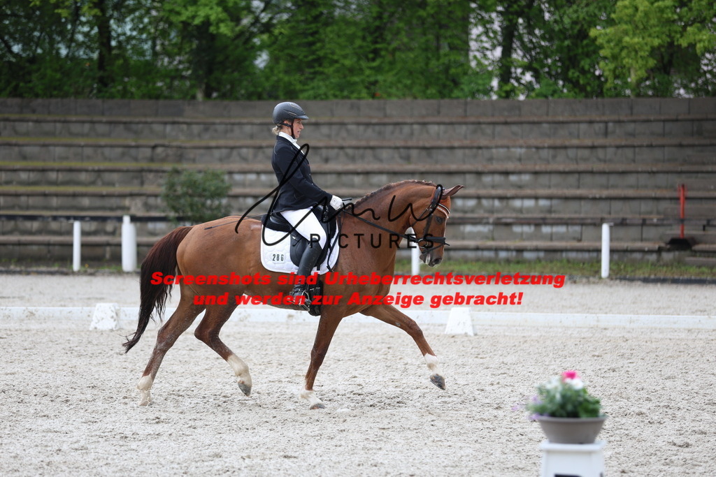 A40A9095 | lmwpictures - Realisiert mit Pictrs.com