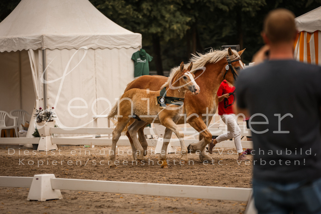 SaHF00157 | Leoni Ertmer Photography - Realisiert mit Pictrs.com