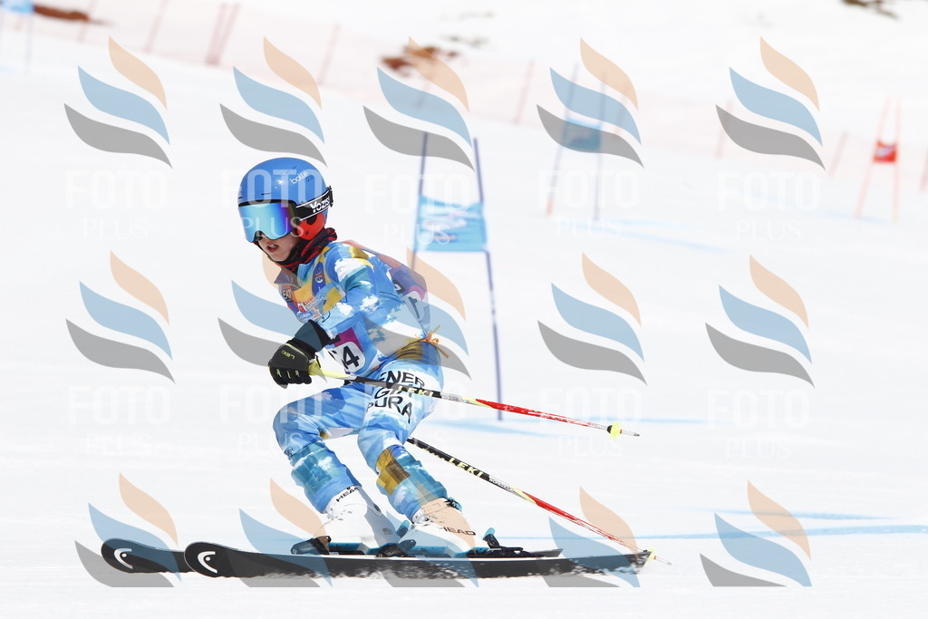 _U3G4597 | holidayphoto